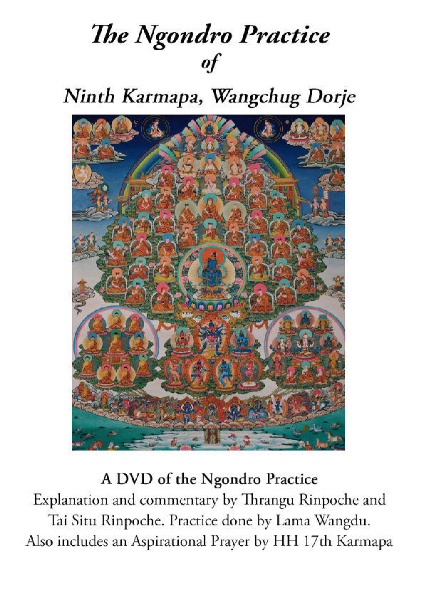 Ngondro Practice Video with Lama Wangdu (DVD)